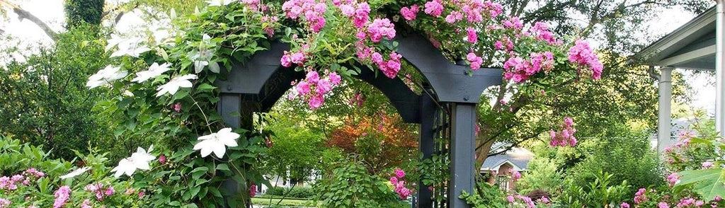 Metal Garden Arches