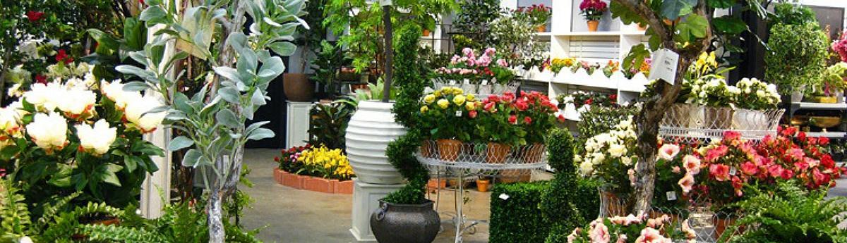 Artificial Plants