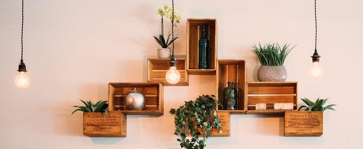 Wall & Display Shelves