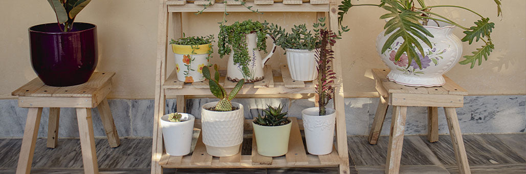 Garden Shelves