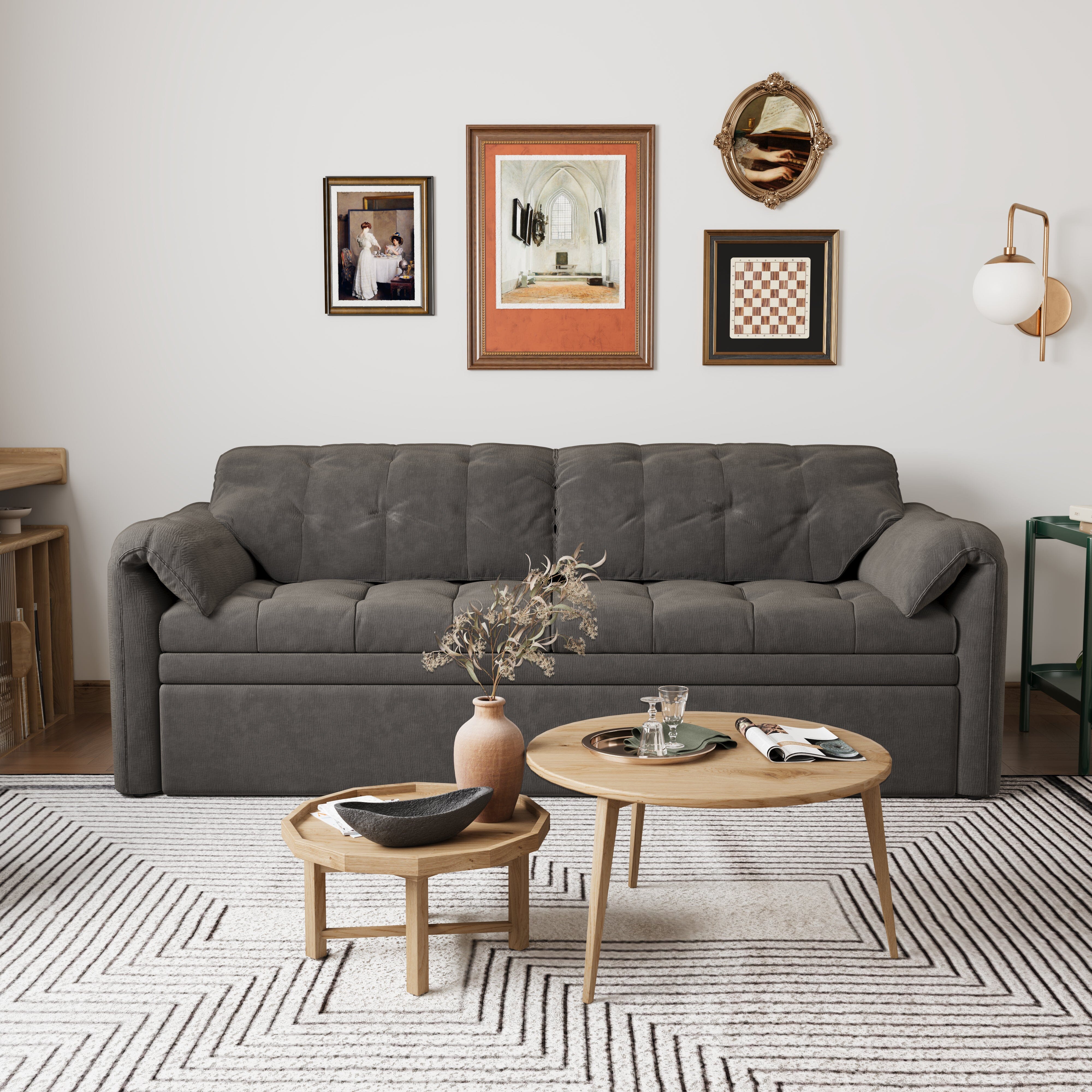 Cottonfy Upgraded Cloud Chenille Skin Friendly Sofa Bed with Storage Living and Home 