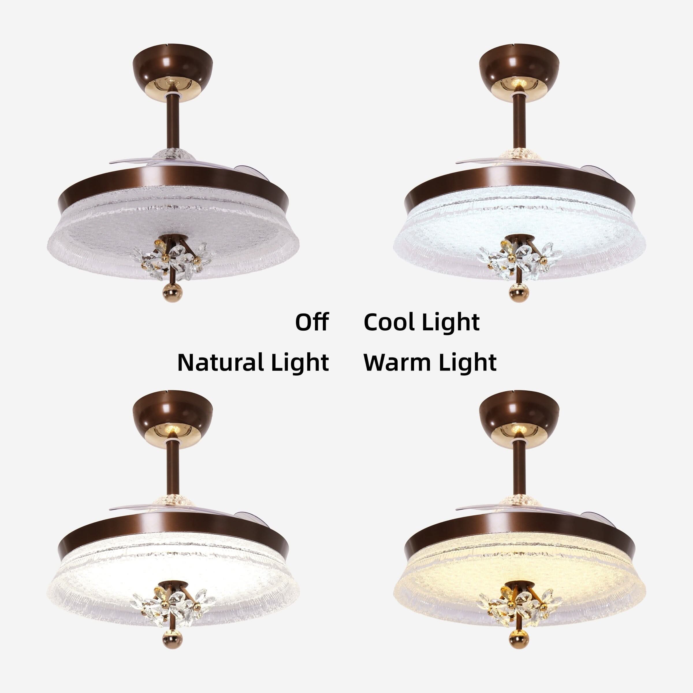 Lightsin 36 Inch Ceiling Fan with 6-Speed Remote and Reverse Motor Lightsin UK 