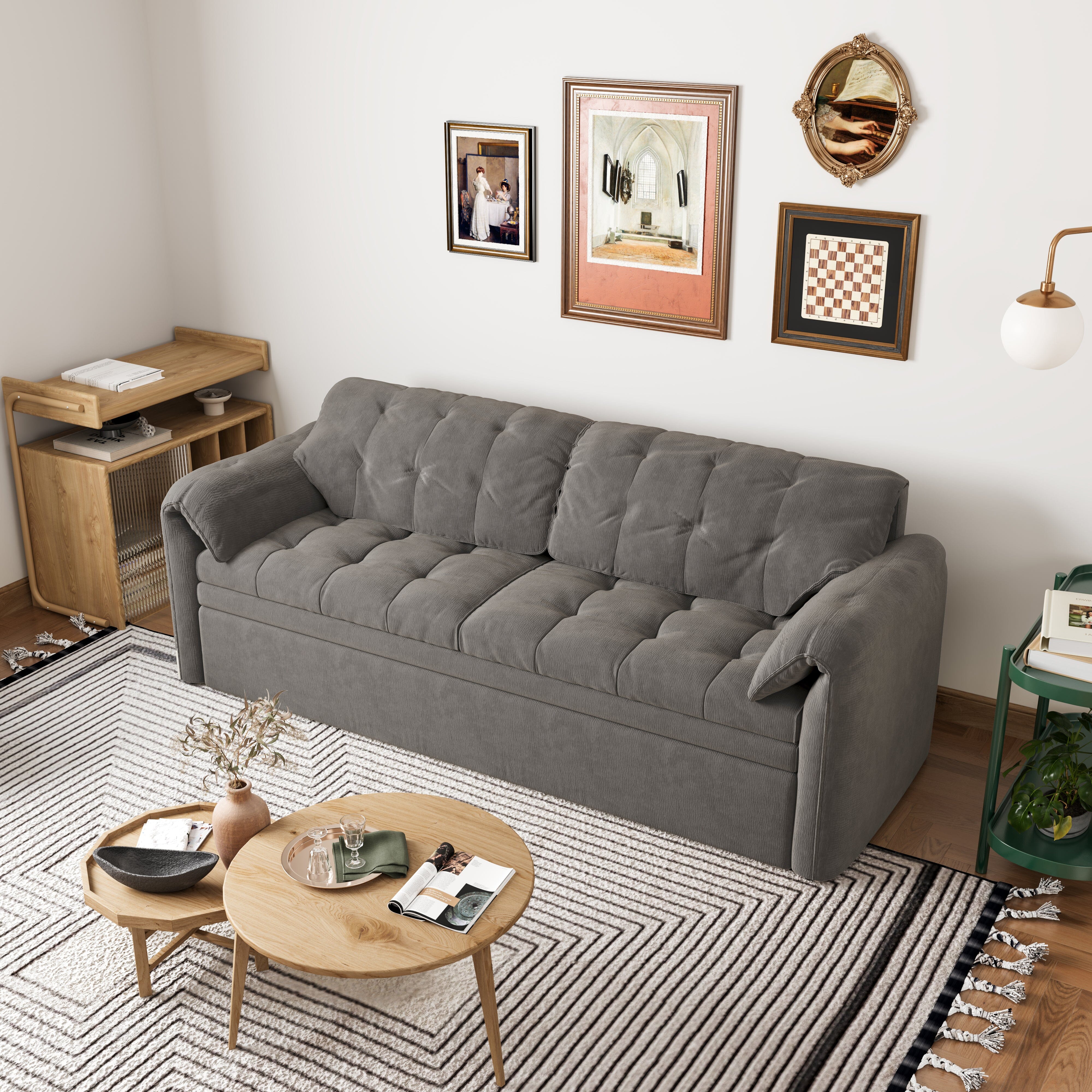 Cottonfy Upgraded Cloud Chenille Skin Friendly Sofa Bed with Storage Living and Home 