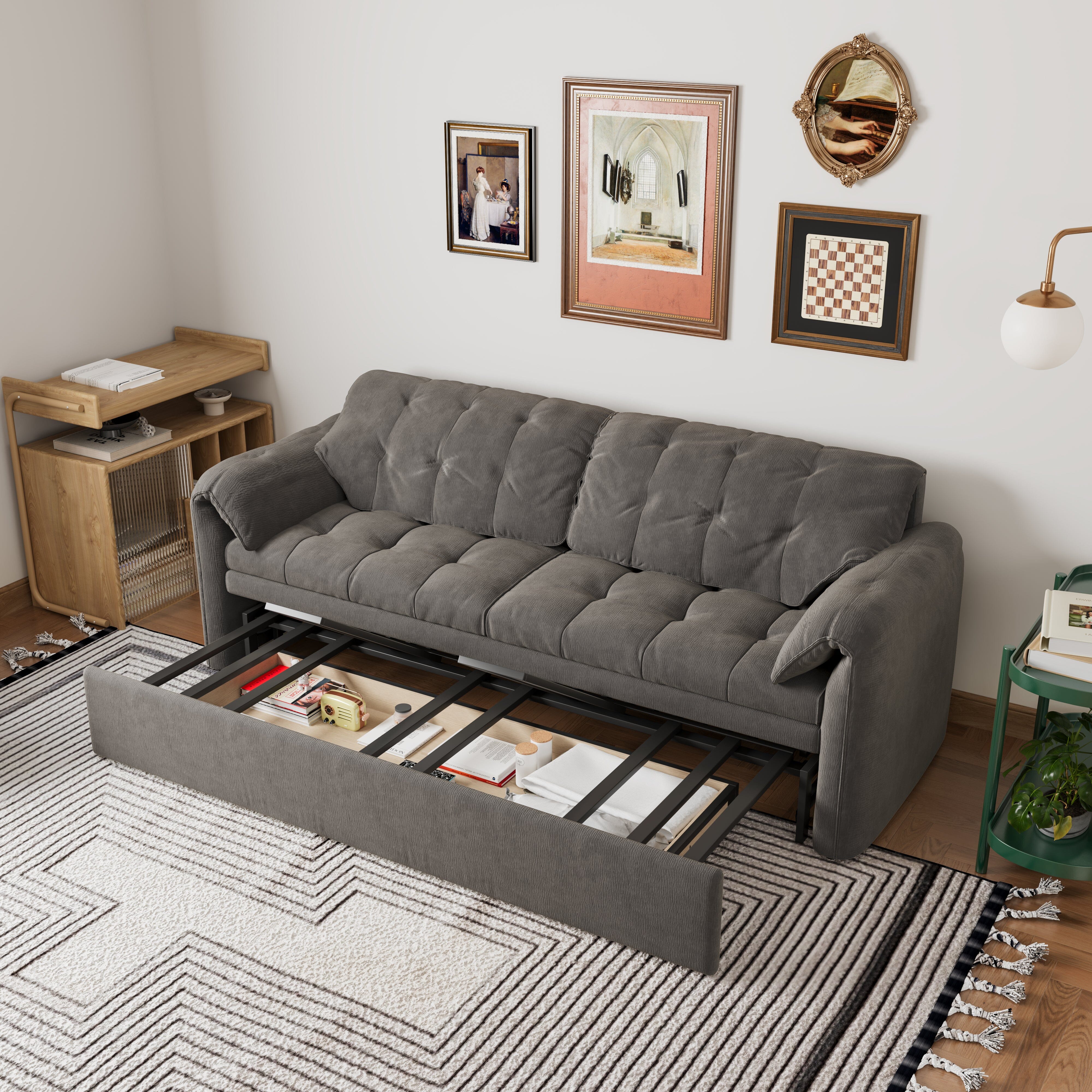 Cottonfy Upgraded Cloud Chenille Skin Friendly Sofa Bed with Storage Living and Home 