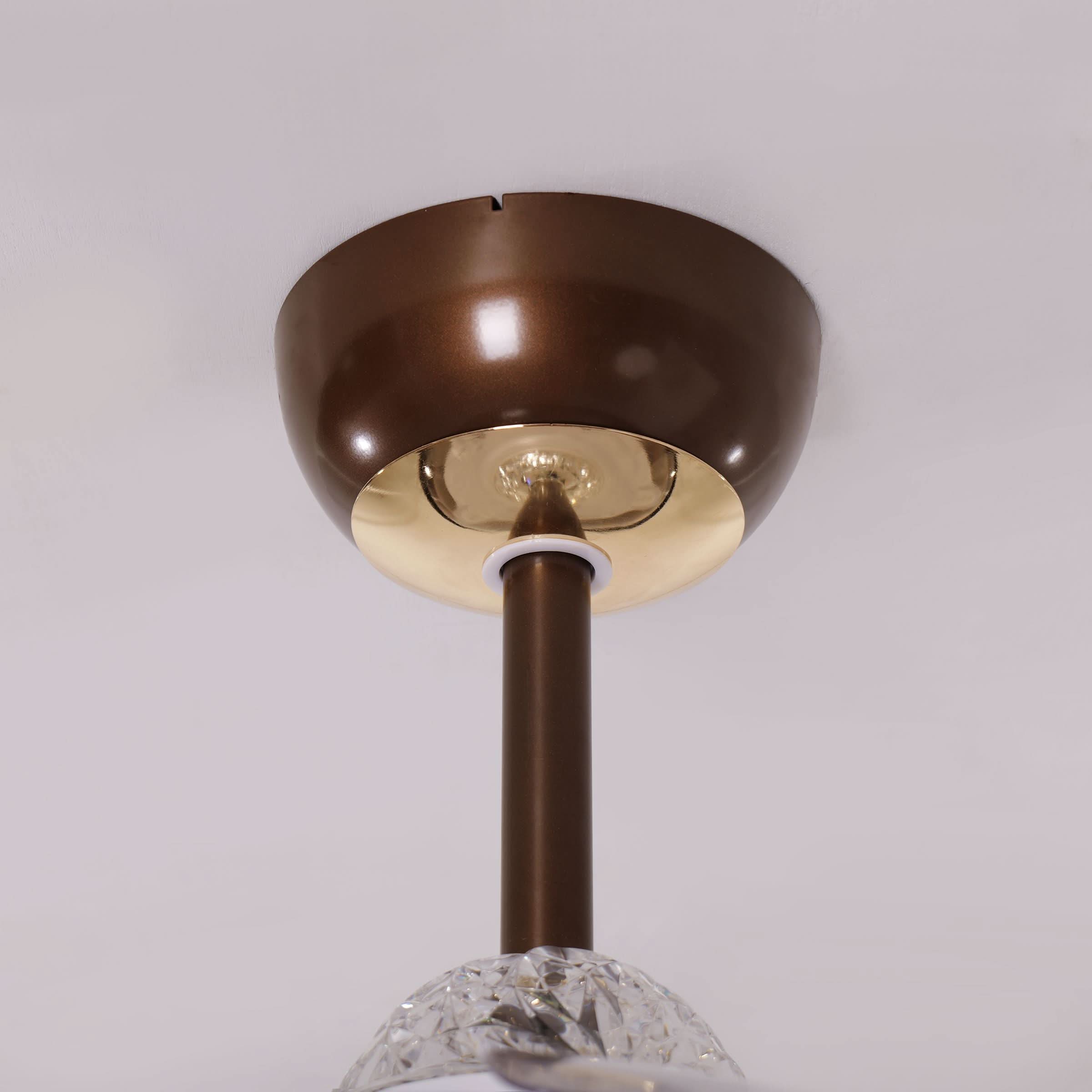 Lightsin 36 Inch Ceiling Fan with 6-Speed Remote and Reverse Motor Lightsin UK 