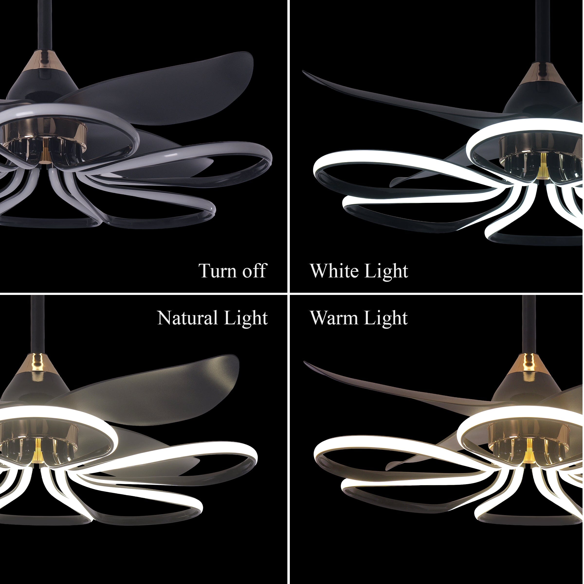 Lightsin 36-inch Black Modern Petal LED Ceiling Fan with Light - 6-Speed with Remote Control Lightsin UK 