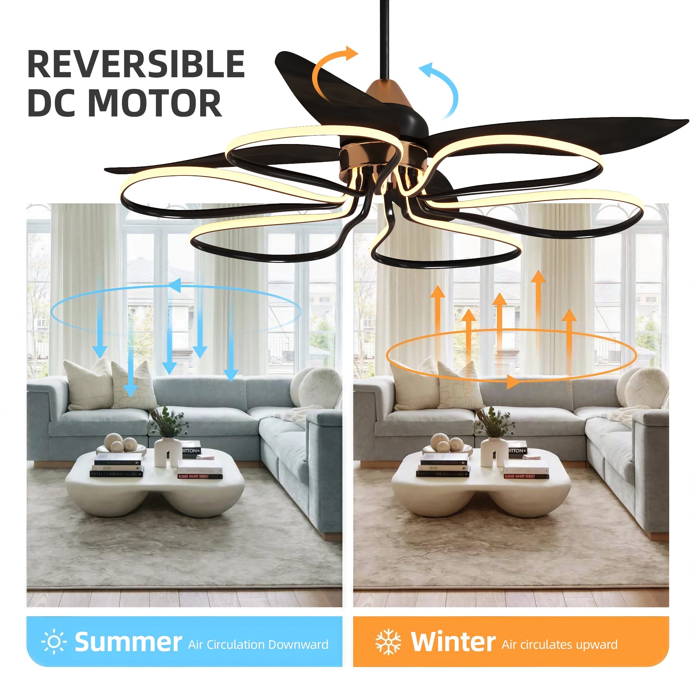 Lightsin 36-inch Black Modern Petal LED Ceiling Fan with Light - 6-Speed with Remote Control Lightsin UK 