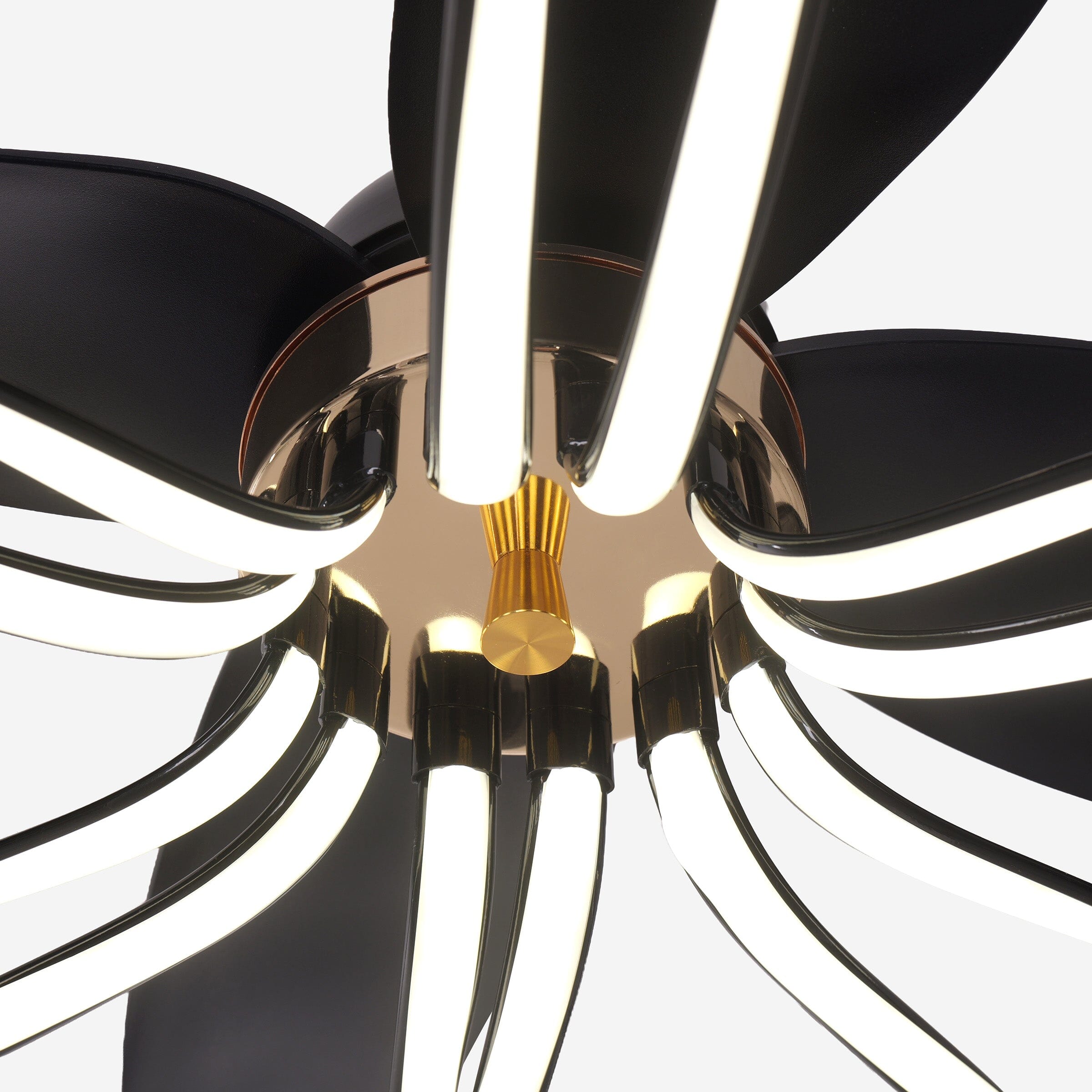 Lightsin 36-inch Black Modern Petal LED Ceiling Fan with Light - 6-Speed with Remote Control Lightsin UK 