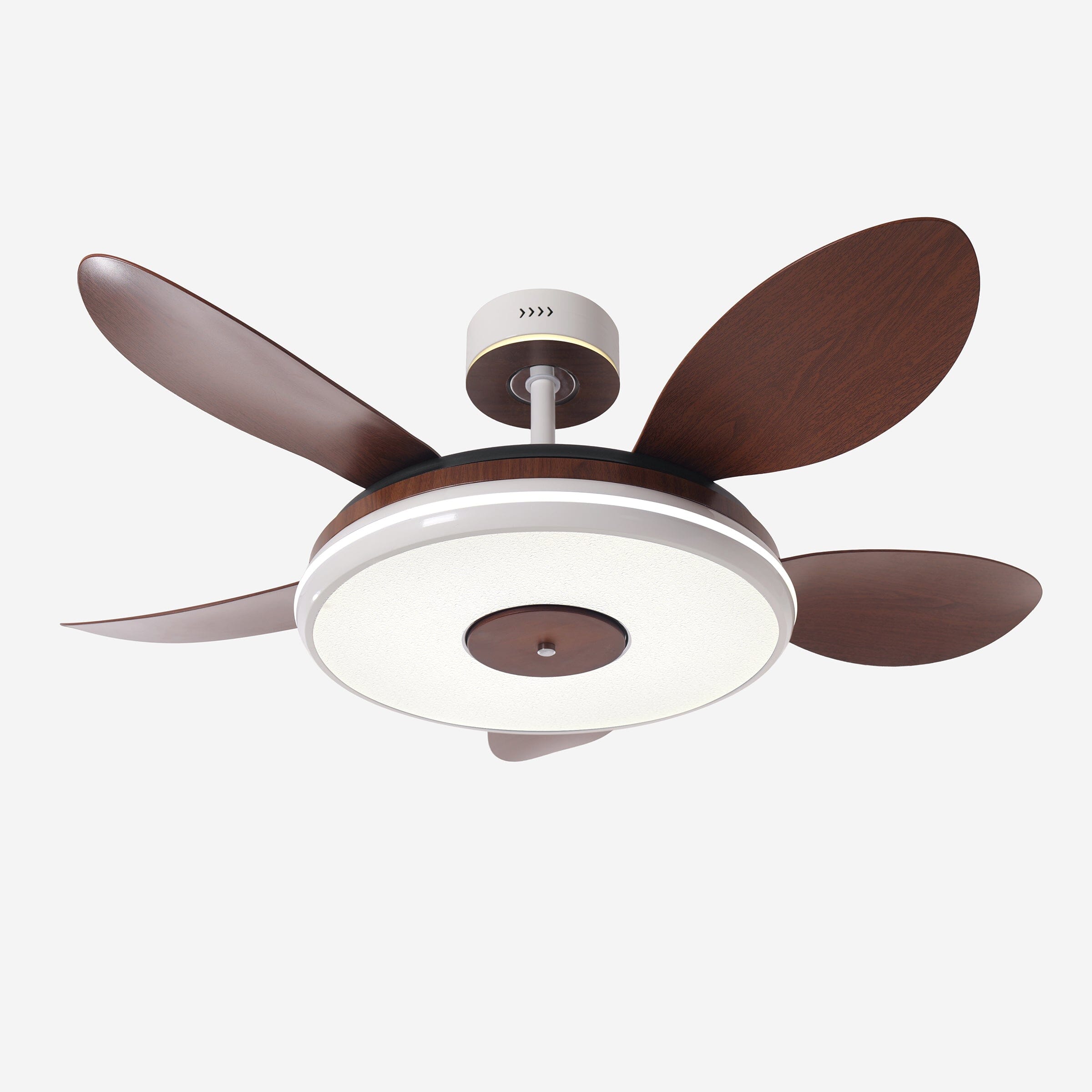 Walnut 48 Inch Reversible LED Ceiling Fan Light with Remote Lightsin UK 