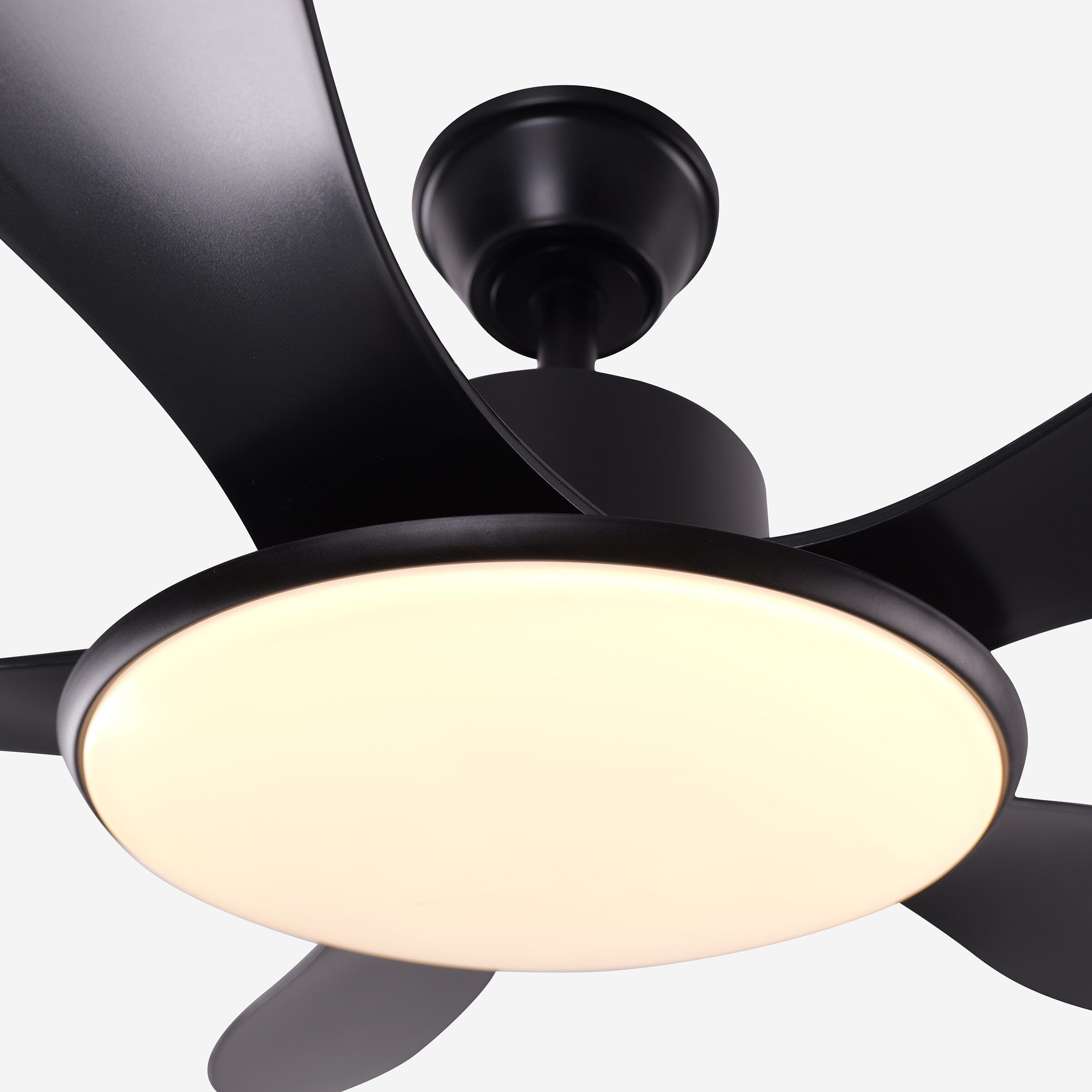 Lightsin 53-inch Modern Ceiling Fan with Light, Silent 5-Blade LED Fan with Remote Lightsin UK 