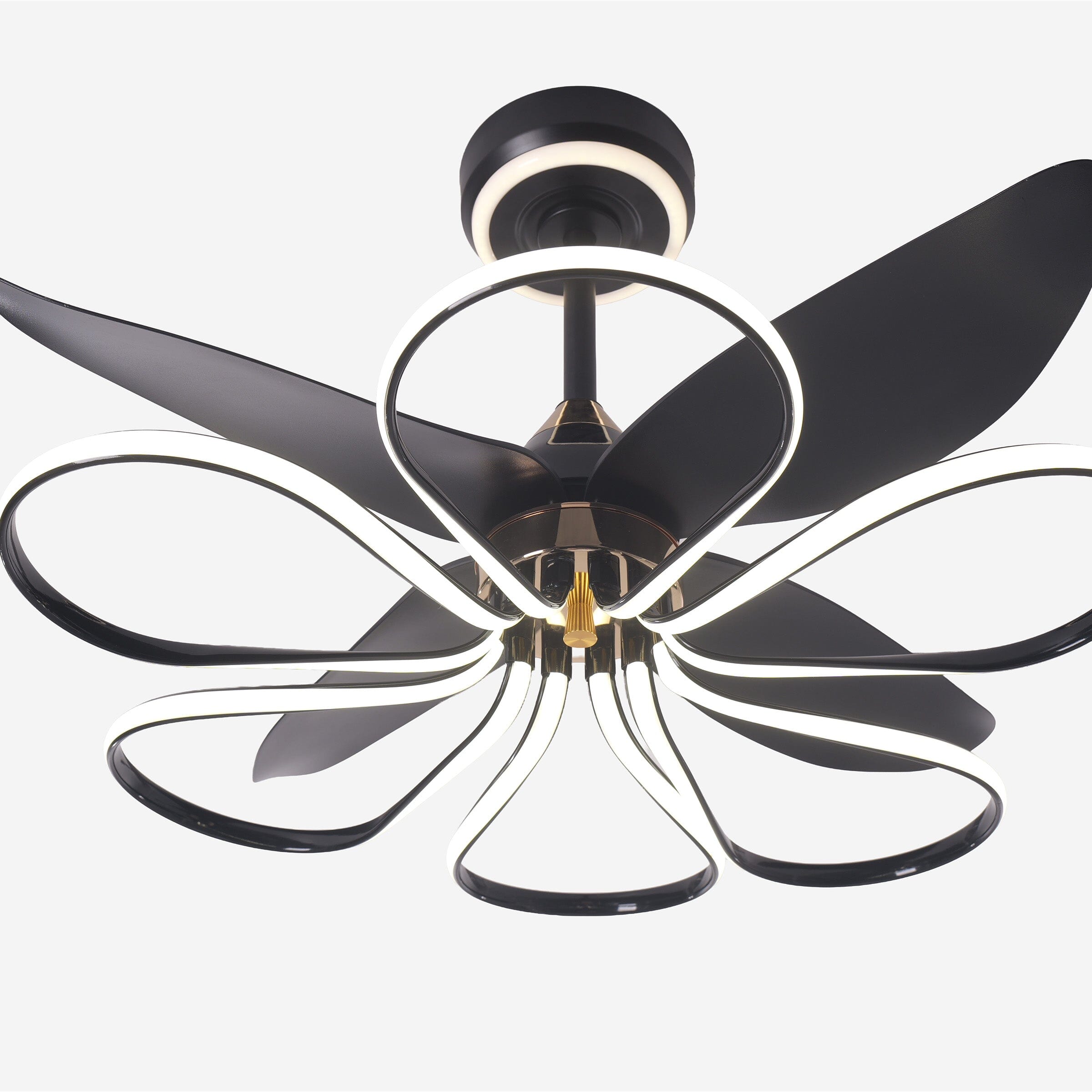 Lightsin 36-inch Black Modern Petal LED Ceiling Fan with Light - 6-Speed with Remote Control Lightsin UK 