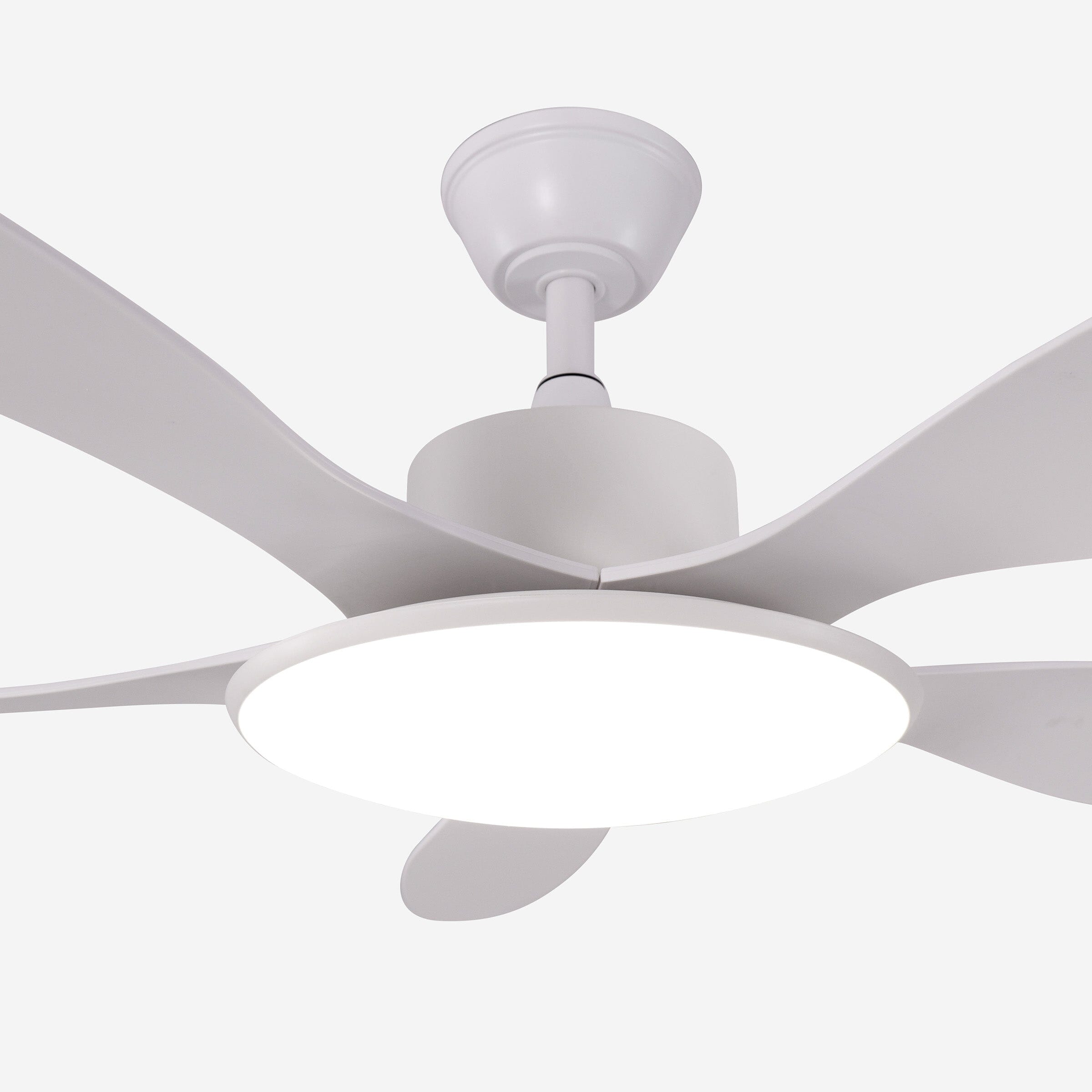 Lightsin 53-inch Modern Ceiling Fan with Light, Silent 5-Blade LED Fan with Remote Lightsin UK 