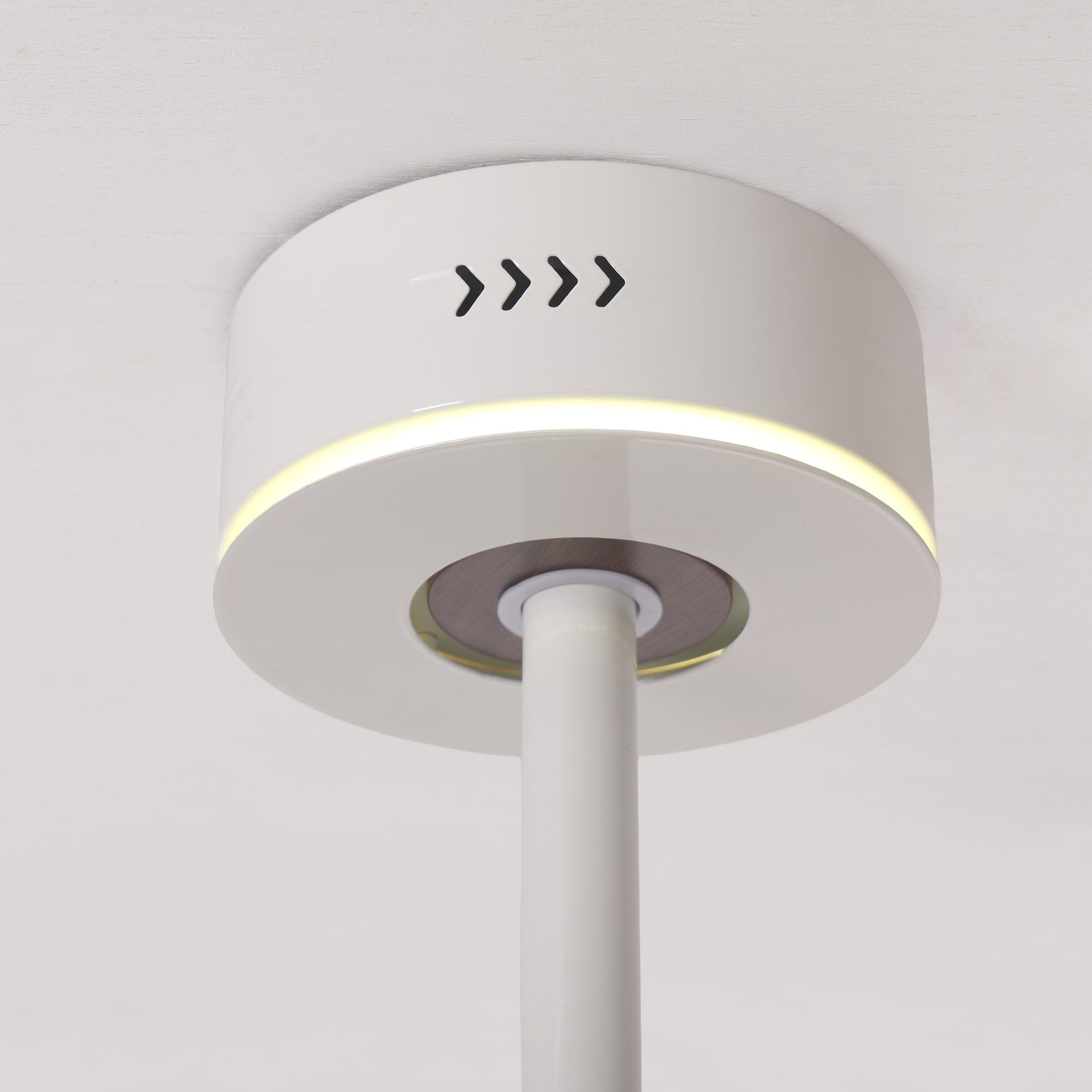 White 48 Inch Reversible LED Ceiling Fan Light with Remote Lightsin UK 