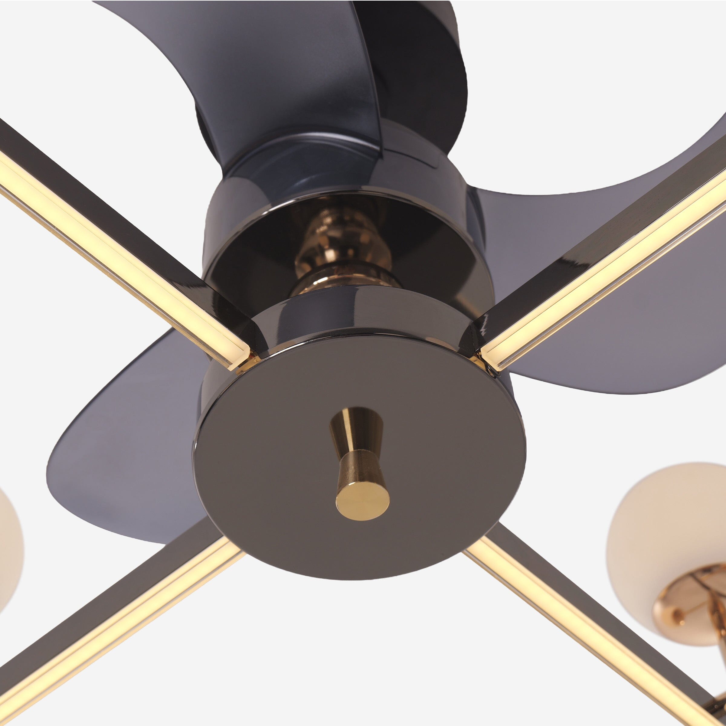 Lightsin Modern Sphere 3-Blade Ceiling Fan with Light Black & Gold Finish Lightsin UK 