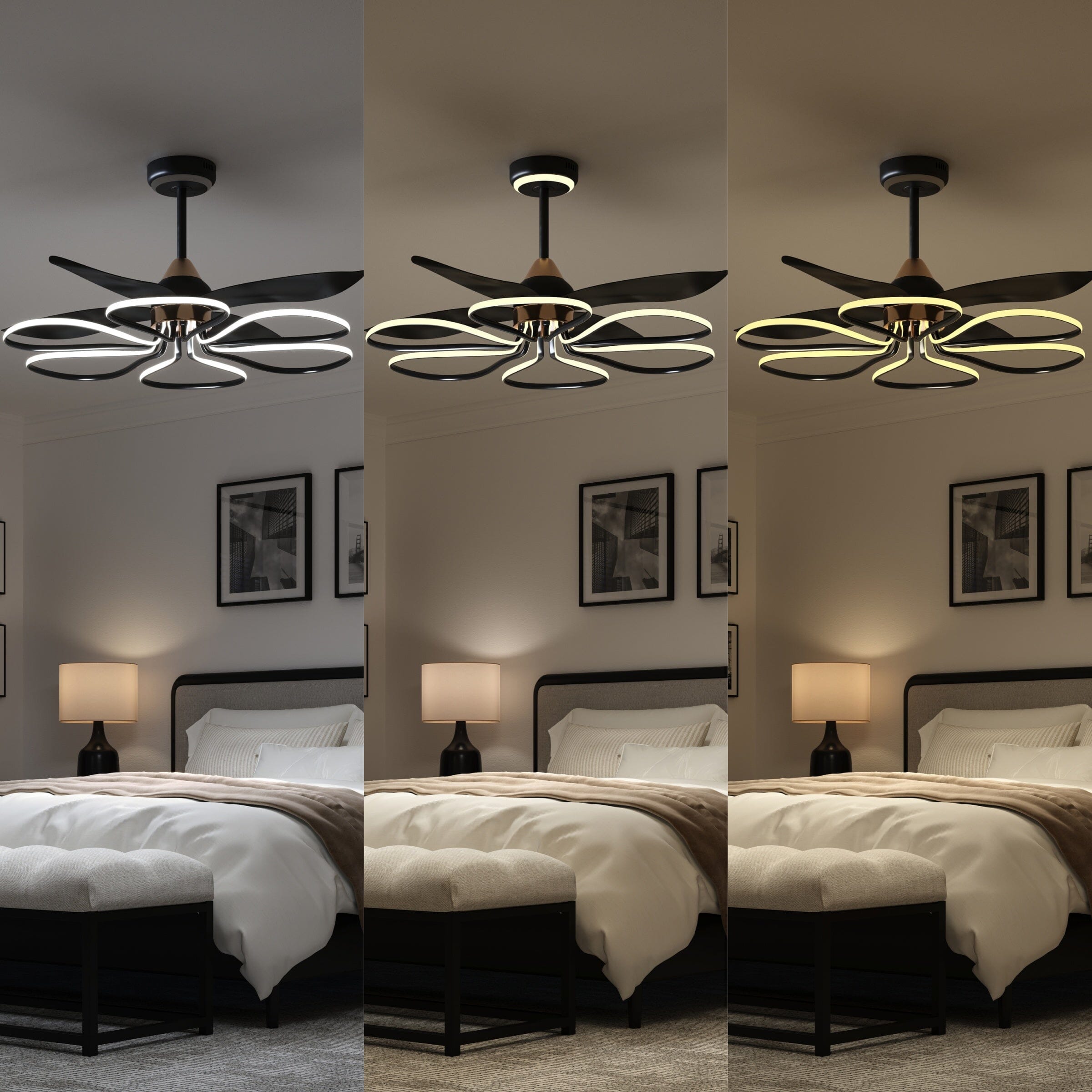 Lightsin 36-inch Black Modern Petal LED Ceiling Fan with Light - 6-Speed with Remote Control Lightsin UK 