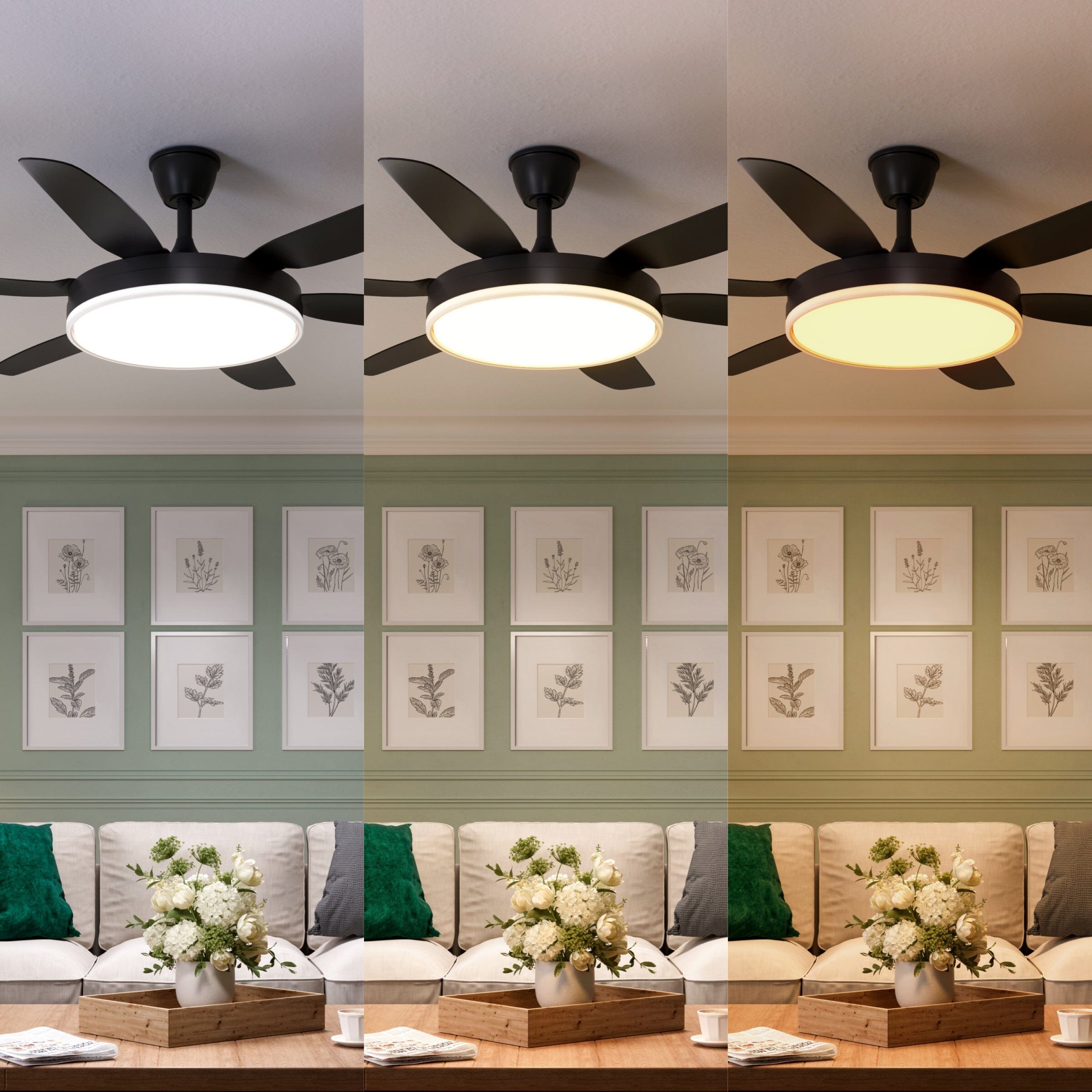 Lightsin Modern Black 57inch LED Ceiling Fan with Remote Control Lightsin UK 