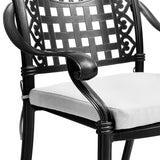 Set of 2 Outdoor Dining Chairs with Cushions Cast Aluminum Garden Seating Living and Home 