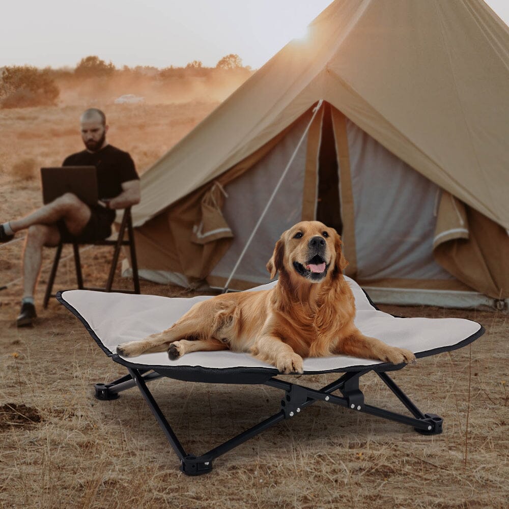 Portable Raised Pet Cot Living and Home 