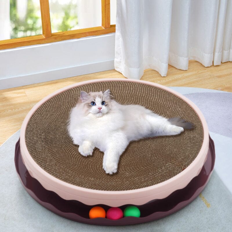 Circular Cat Scratching Board with Ball Toy Living and Home 