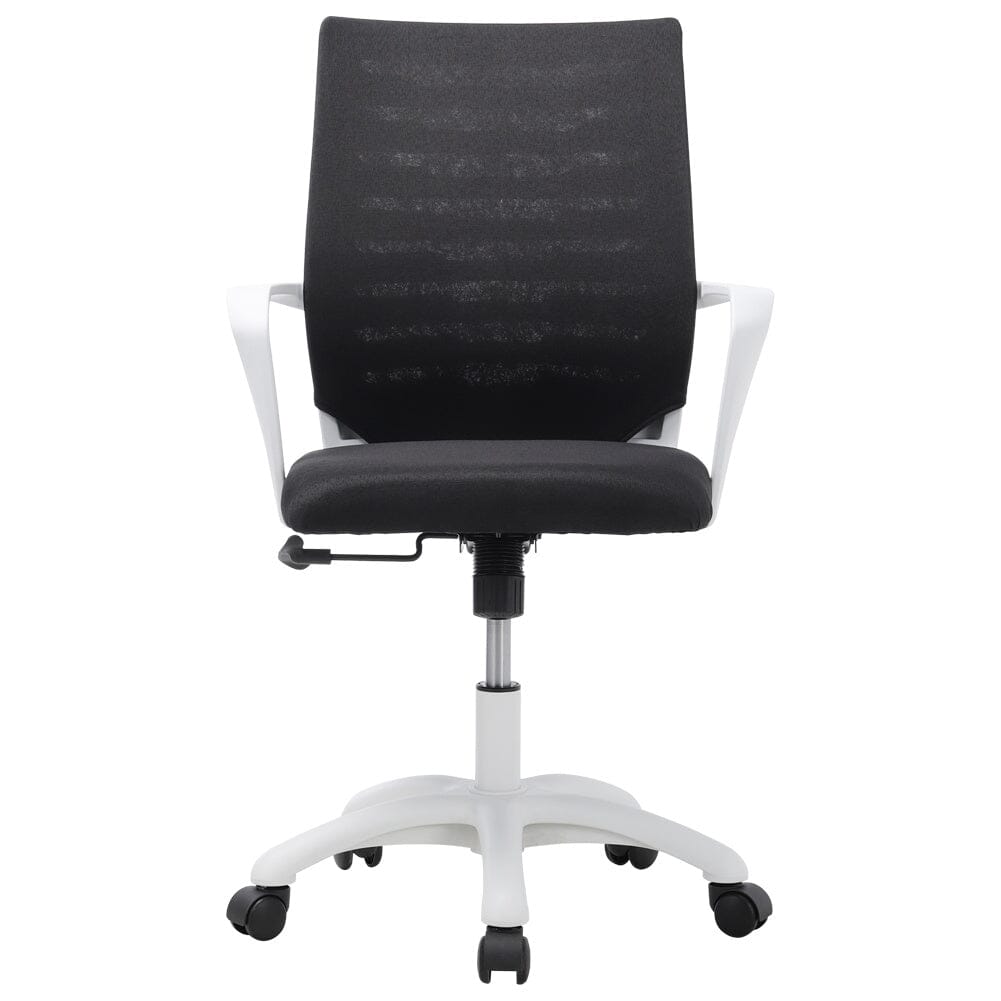 Professional Ergonomic Mesh & Fabric Office Chair Living and Home 