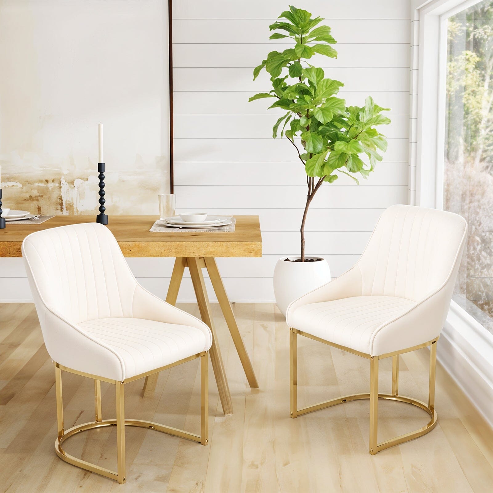 Velvet Dining Chair Gold Leg Pair Seating Living and Home 
