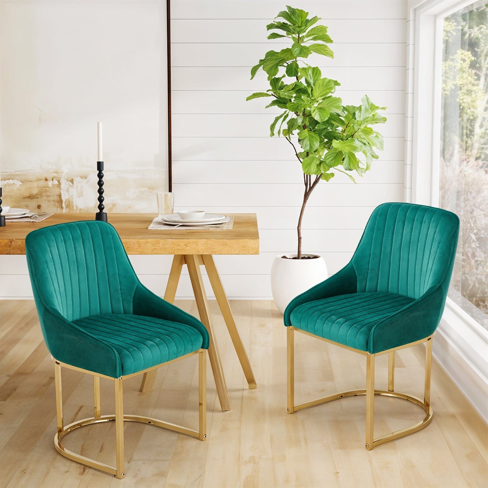 Velvet Dining Chair Gold Leg Pair Seating Living and Home 