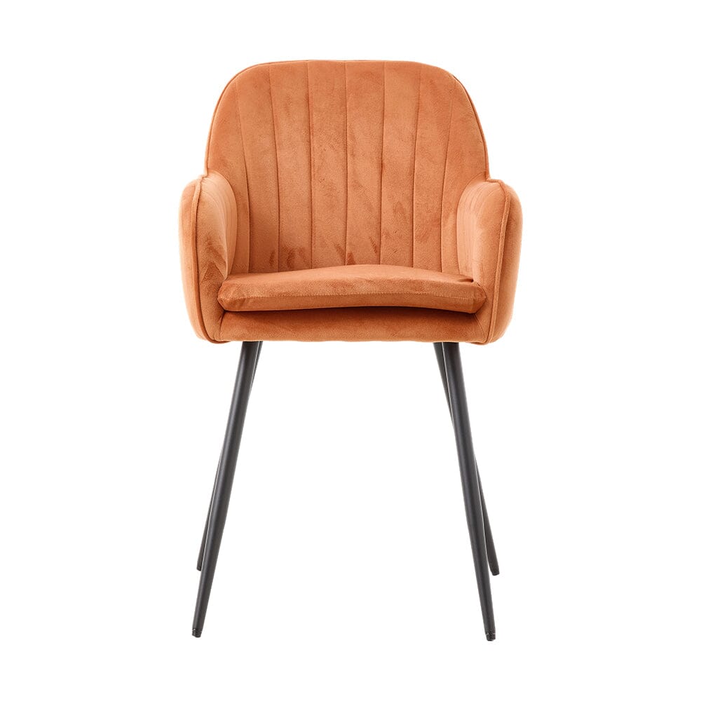 Dutch Velvet Dining Chair Black Metal Leg Pair Living and Home 