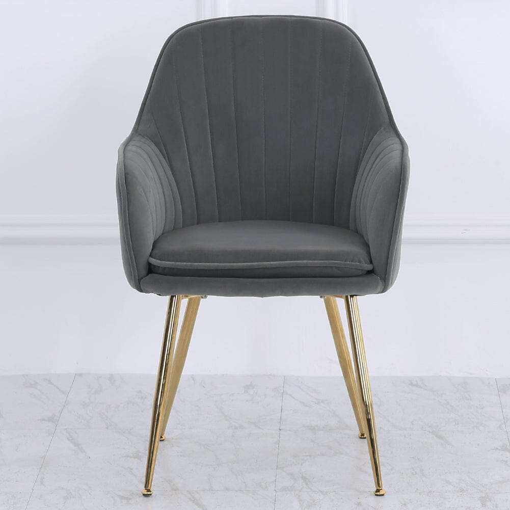 Velvet Dining Chair Set of 2 – Gold Metal Legs Living and Home 