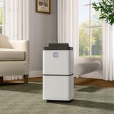 WiFi 12L Dehumidifier with Water Tank Wheels Dehumidifiers Living and Home 