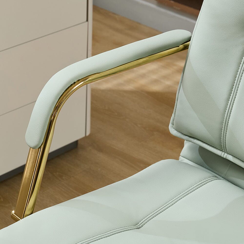 Modern Mid-Back Office Chair with Gold Frame Living and Home 