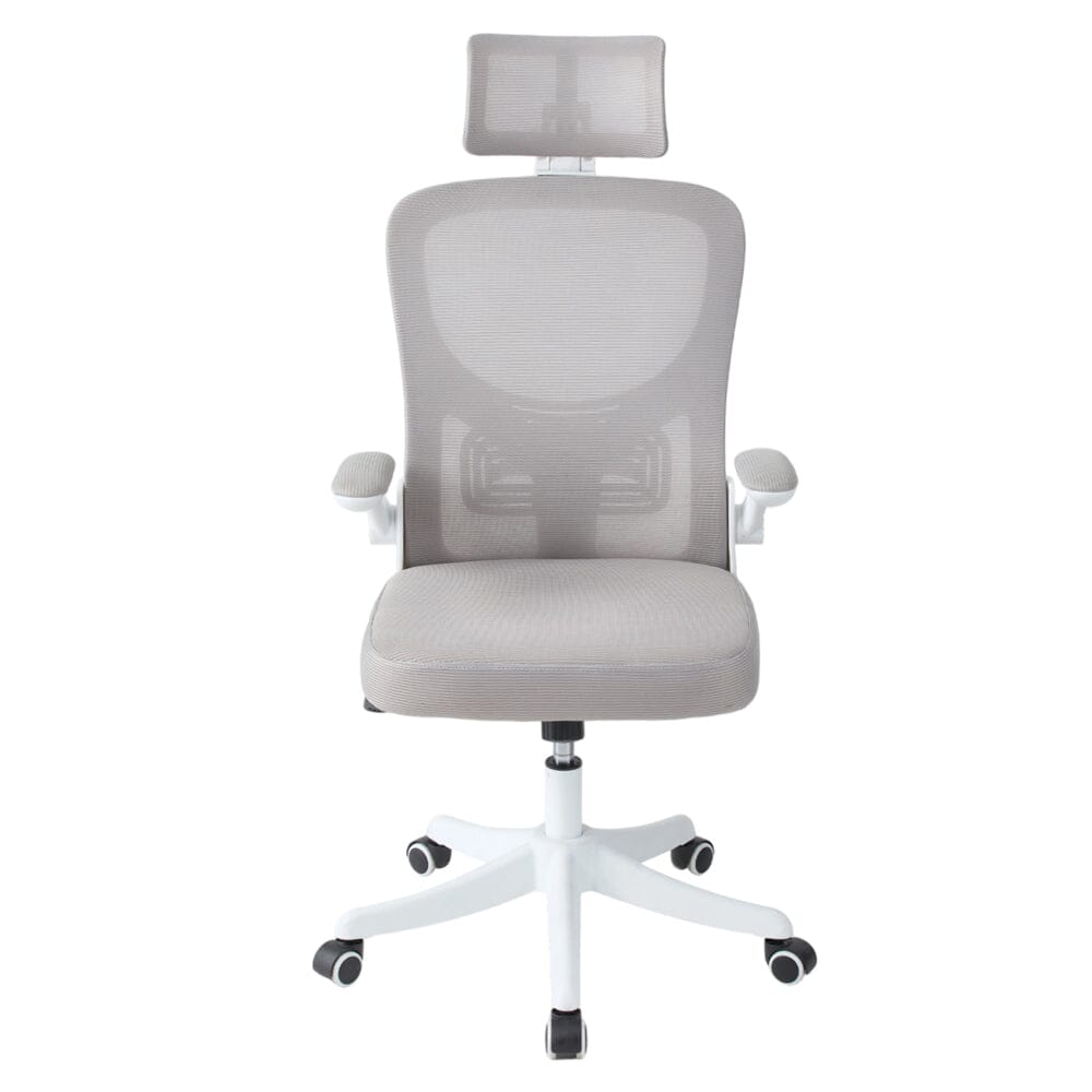 Professional Mesh Office Chair Collection Standard Regular Premium Models Living and Home 