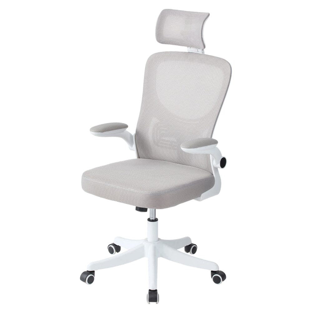 Professional Mesh Office Chair Collection Standard Regular Premium Models Living and Home 