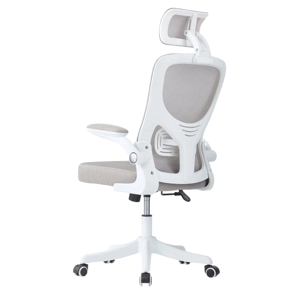 Professional Mesh Office Chair Collection Standard Regular Premium Models Living and Home 