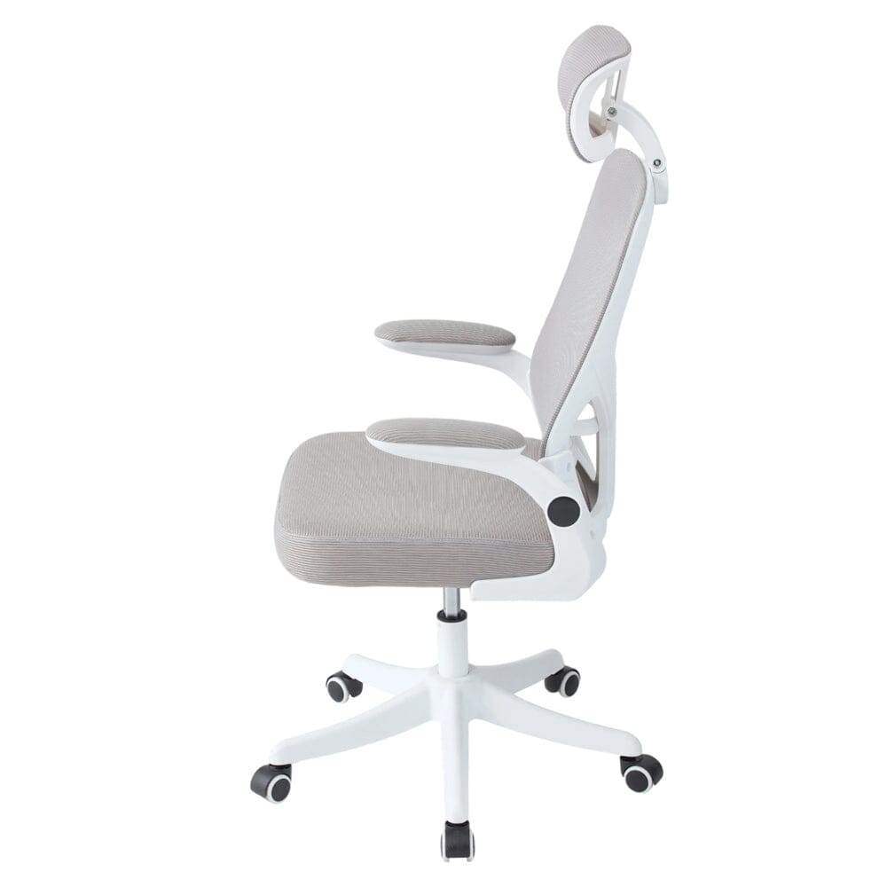 Professional Mesh Office Chair Collection Standard Regular Premium Models Living and Home 