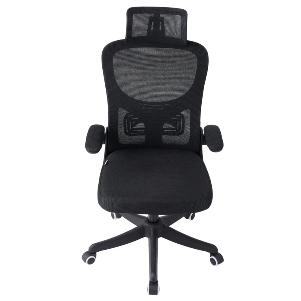 Professional Mesh Office Chair Collection Standard Regular Premium Models Living and Home 