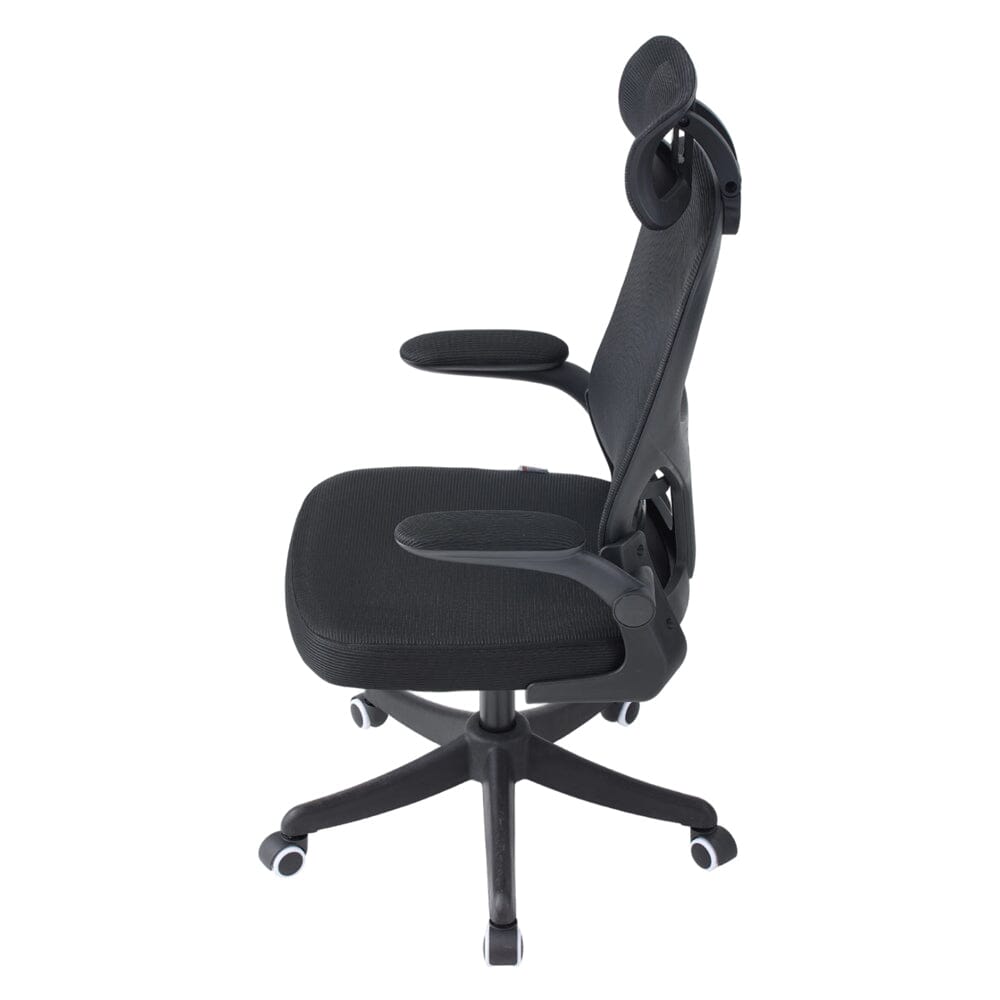 Professional Mesh Office Chair Collection Standard Regular Premium Models Living and Home 