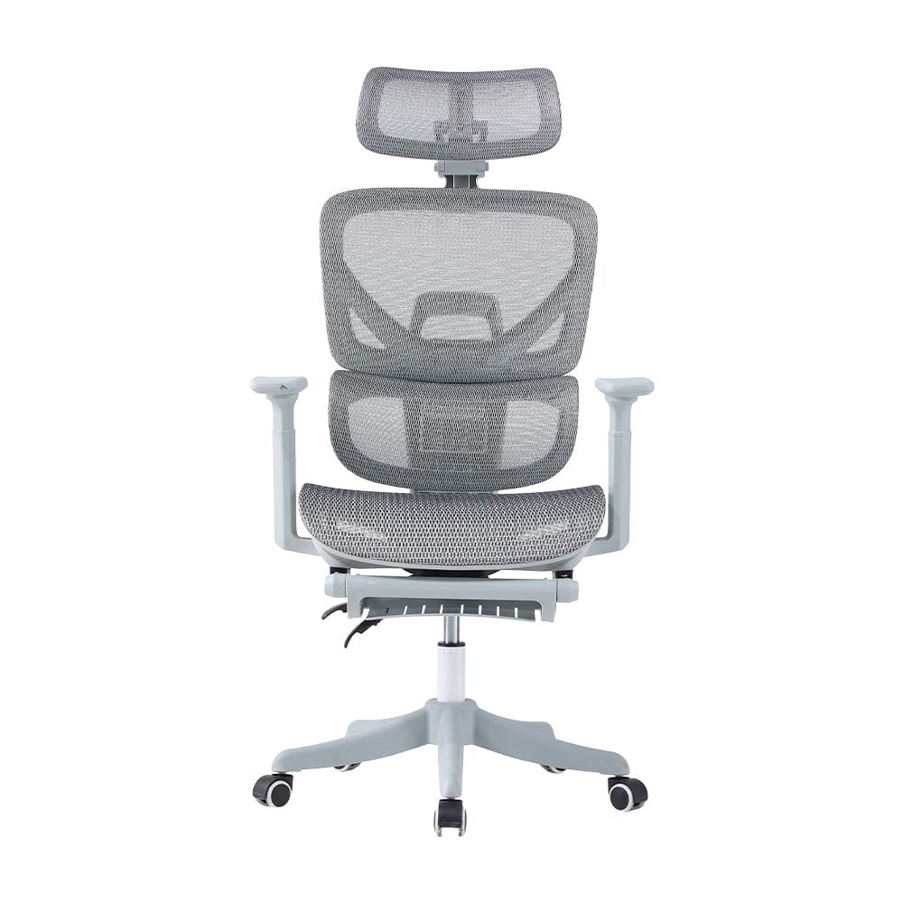 Professional Mesh Office Chair Collection Standard Regular Premium Models Living and Home 