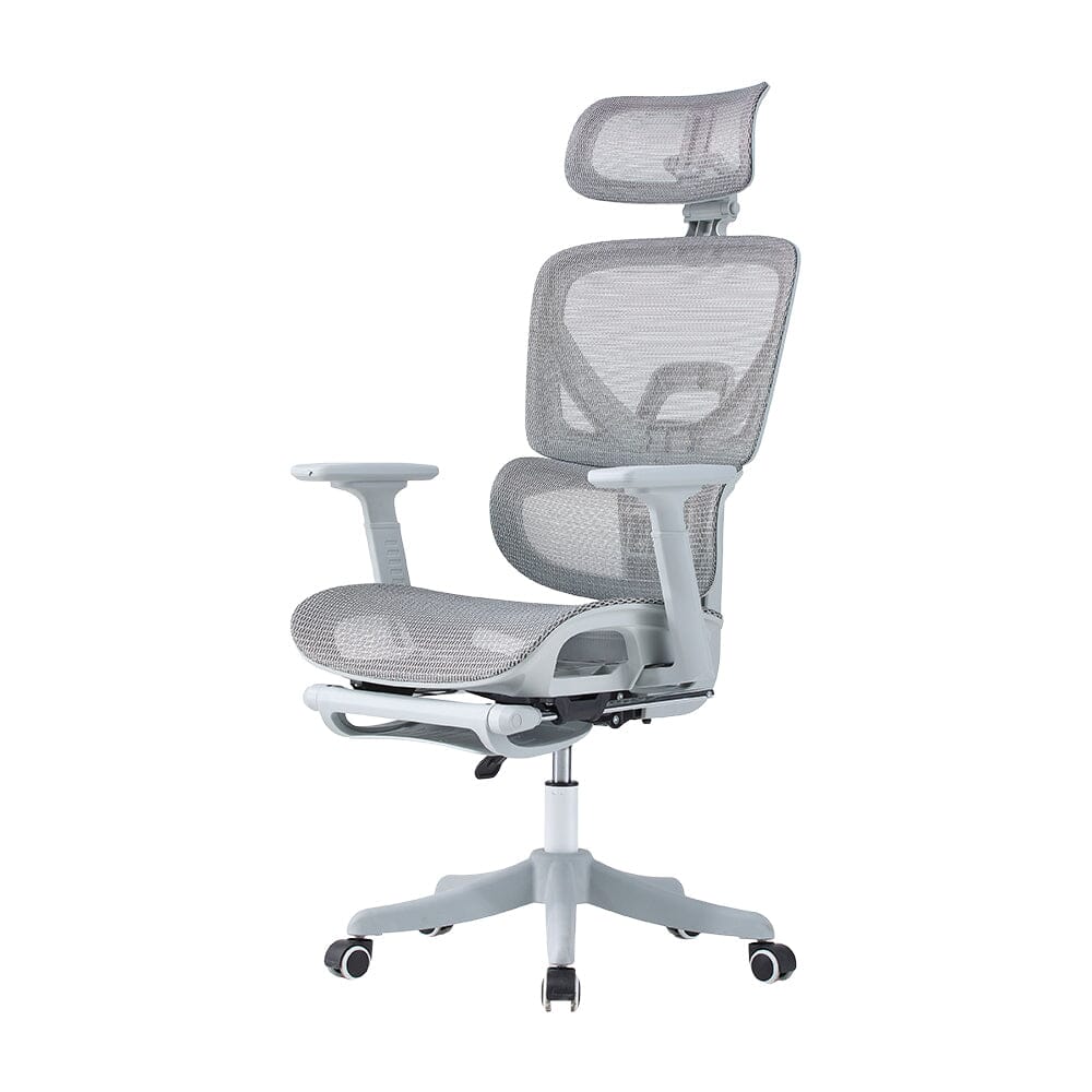Professional Mesh Office Chair Collection Standard Regular Premium Models Living and Home 