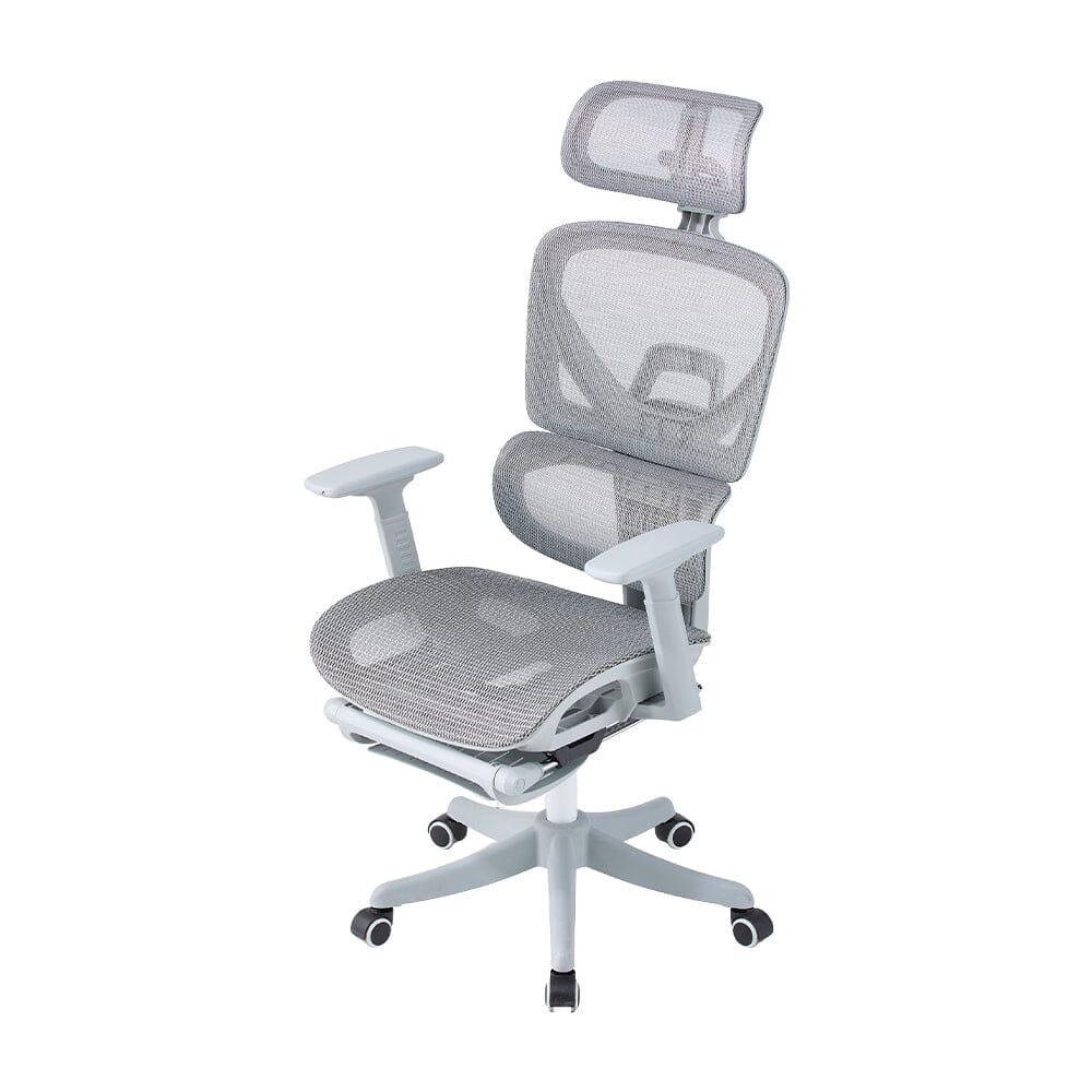 Professional Mesh Office Chair Collection Standard Regular Premium Models Living and Home Regular Model Grey 
