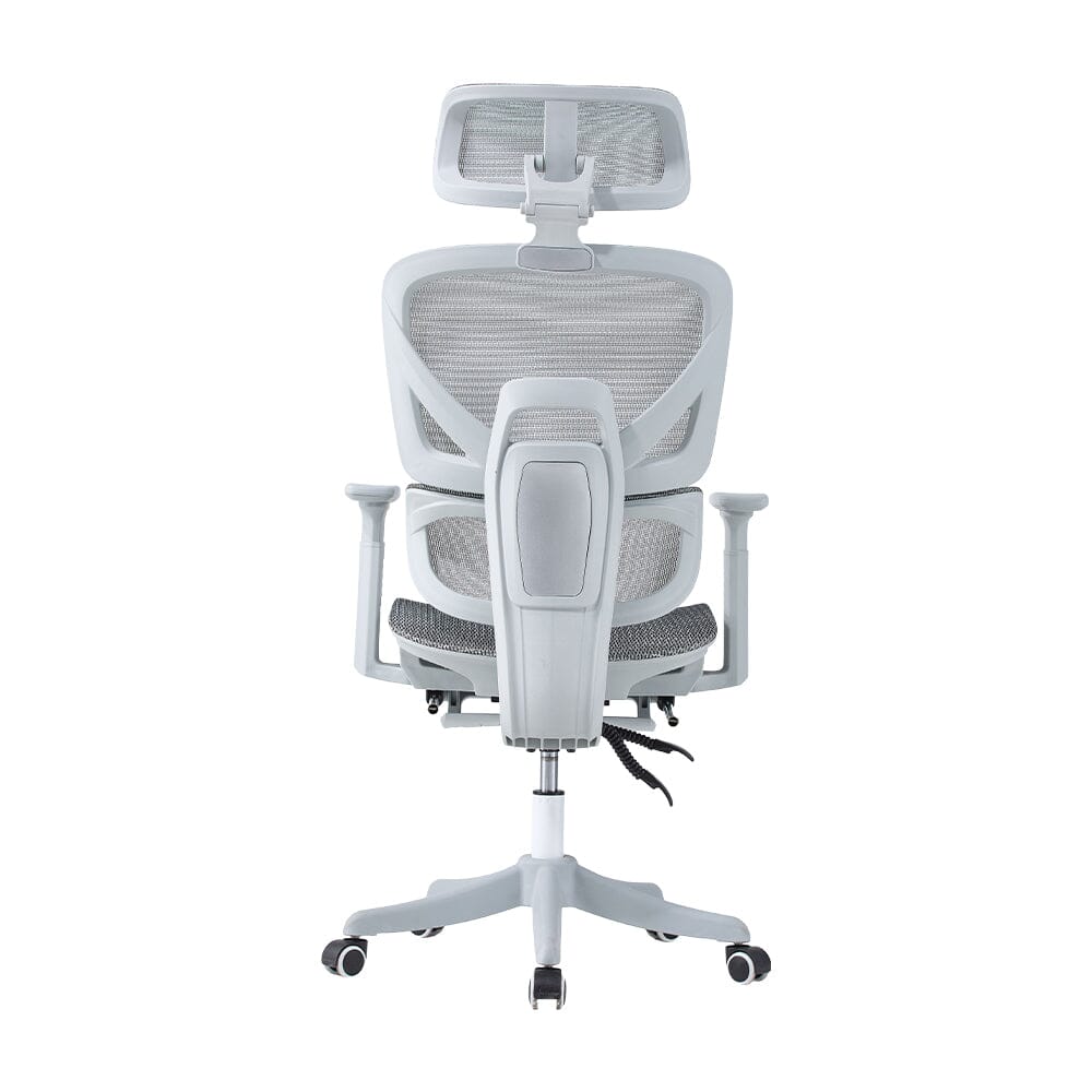 Professional Mesh Office Chair Collection Standard Regular Premium Models Living and Home 