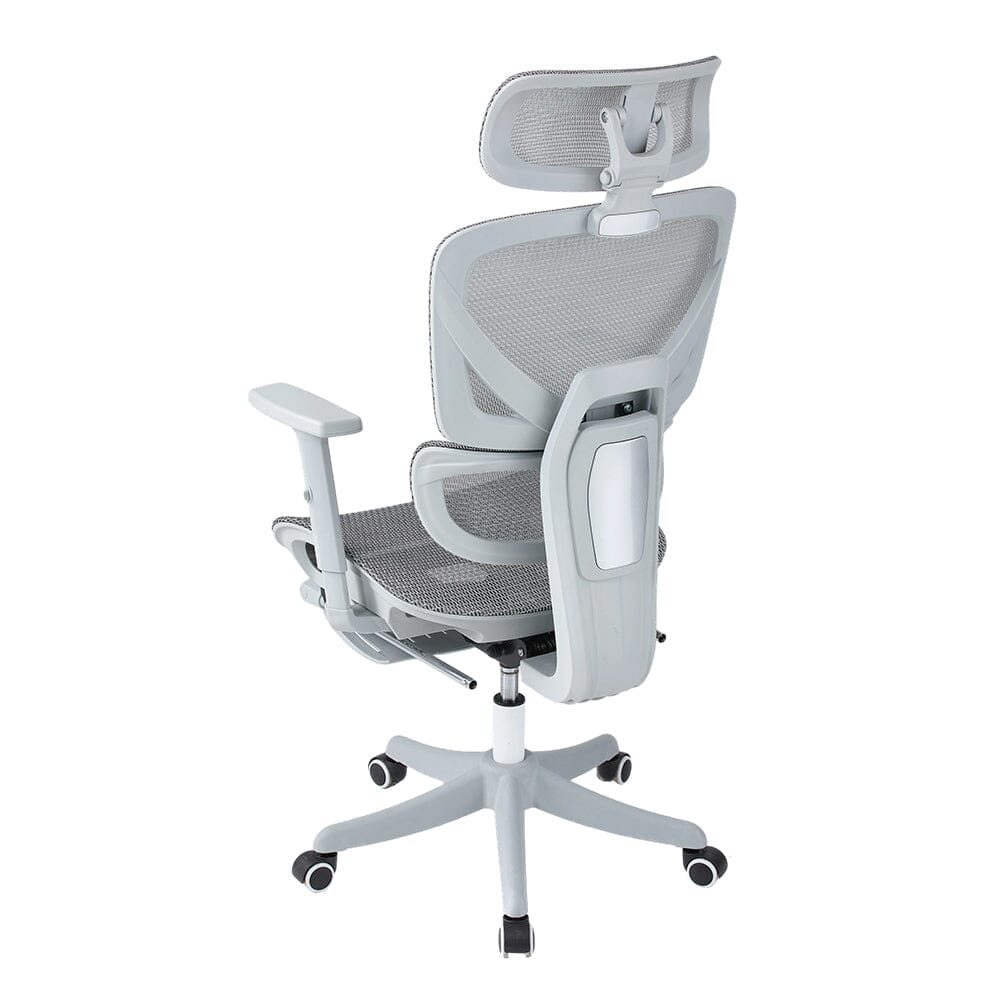 Professional Mesh Office Chair Collection Standard Regular Premium Models Living and Home 