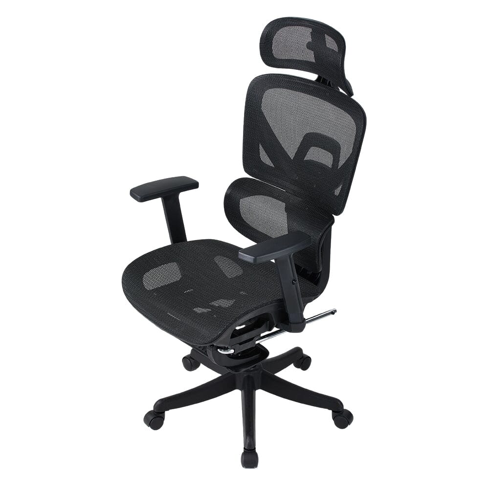 Professional Mesh Office Chair Collection Standard Regular Premium Models Living and Home 