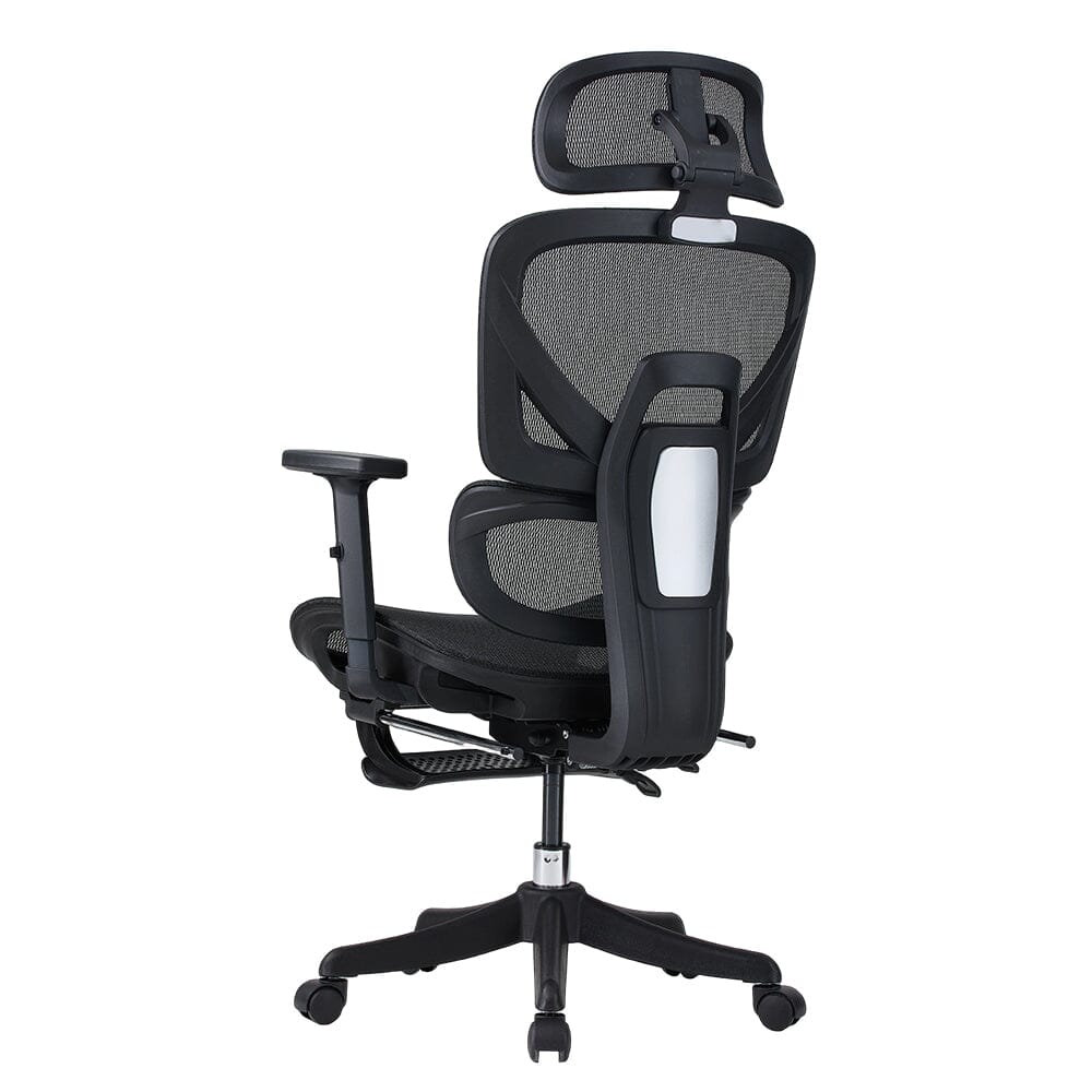 Professional Mesh Office Chair Collection Standard Regular Premium Models Living and Home 