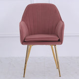 Set of 2 Velvet Dining Chairs with Pad and Armrest Dining Chairs Living and Home 