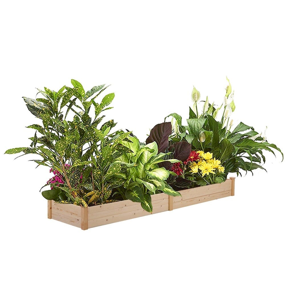Solid Wood Raised Garden Bed with 2 Compartments Living and Home 