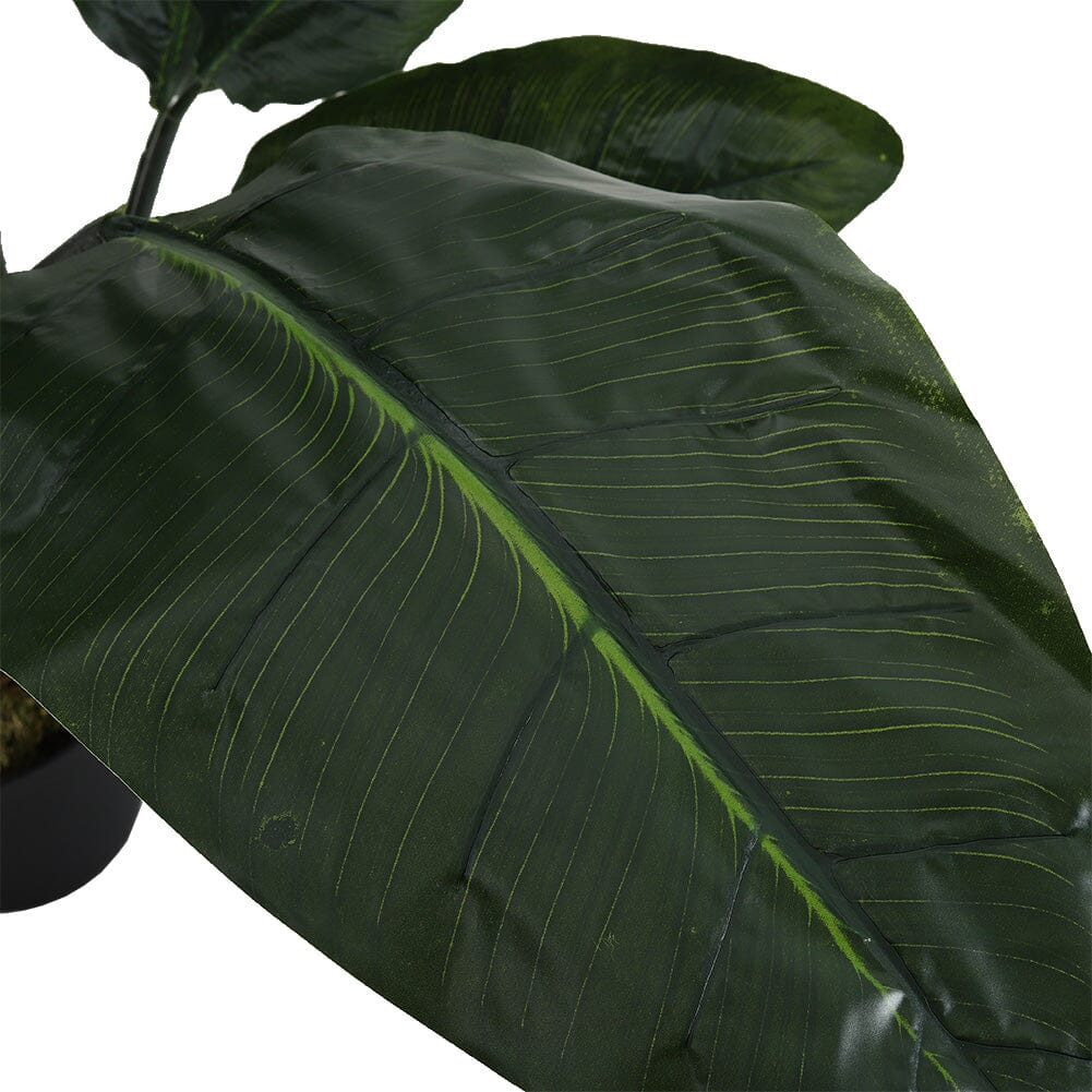 180cm Artificial Potted Bird of Paradise Palm Tree Living and Home 