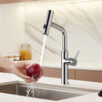 Retractable Pulldown Kitchen Mixer Faucet 2 Function Spout Faucets Kitchen Taps Living and Home 