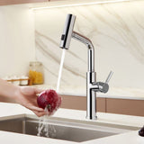 Retractable Pulldown Kitchen Mixer Faucet 2 Function Spout Faucets
