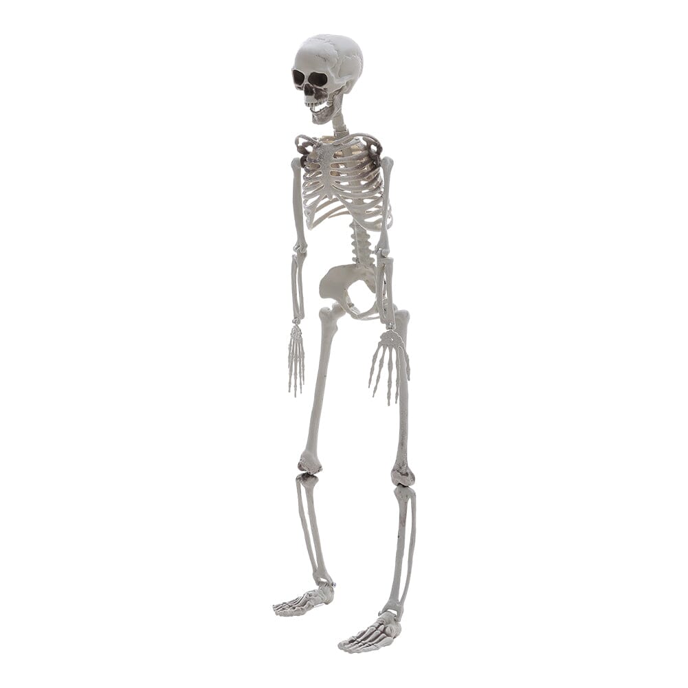 Poseable Skeleton Props for Halloween Party Decoration Halloween Living and Home 