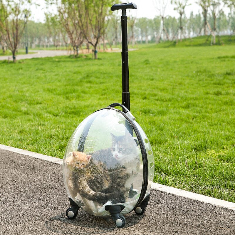 Transparent White Pet Travel Trolley Suitcase Living and Home 